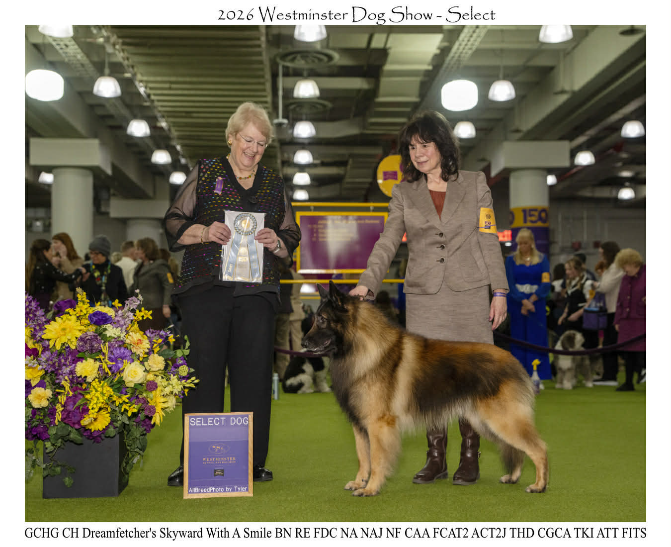 15d712c1-caef-4ba2-9b29-e187932d059c